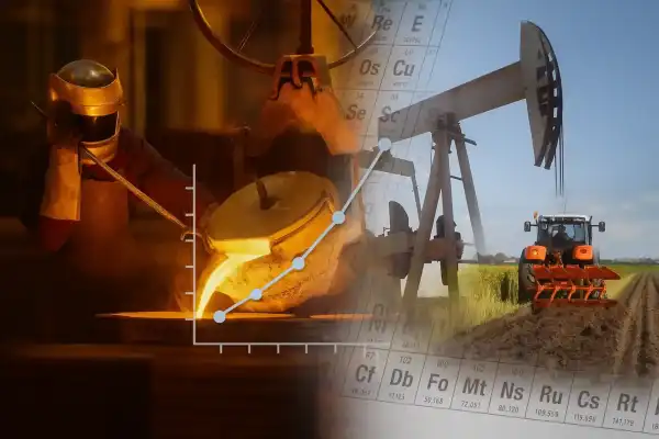 elementanalyse| DID-online.nl