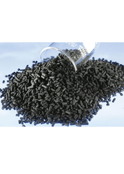 actieve kool| DID-online.nl