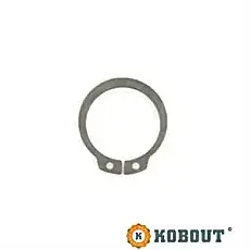 asborgring| DID-online.nl