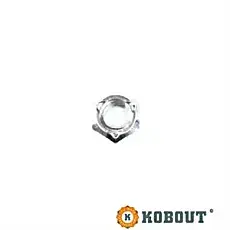 Borgmoer| DID-online.nl