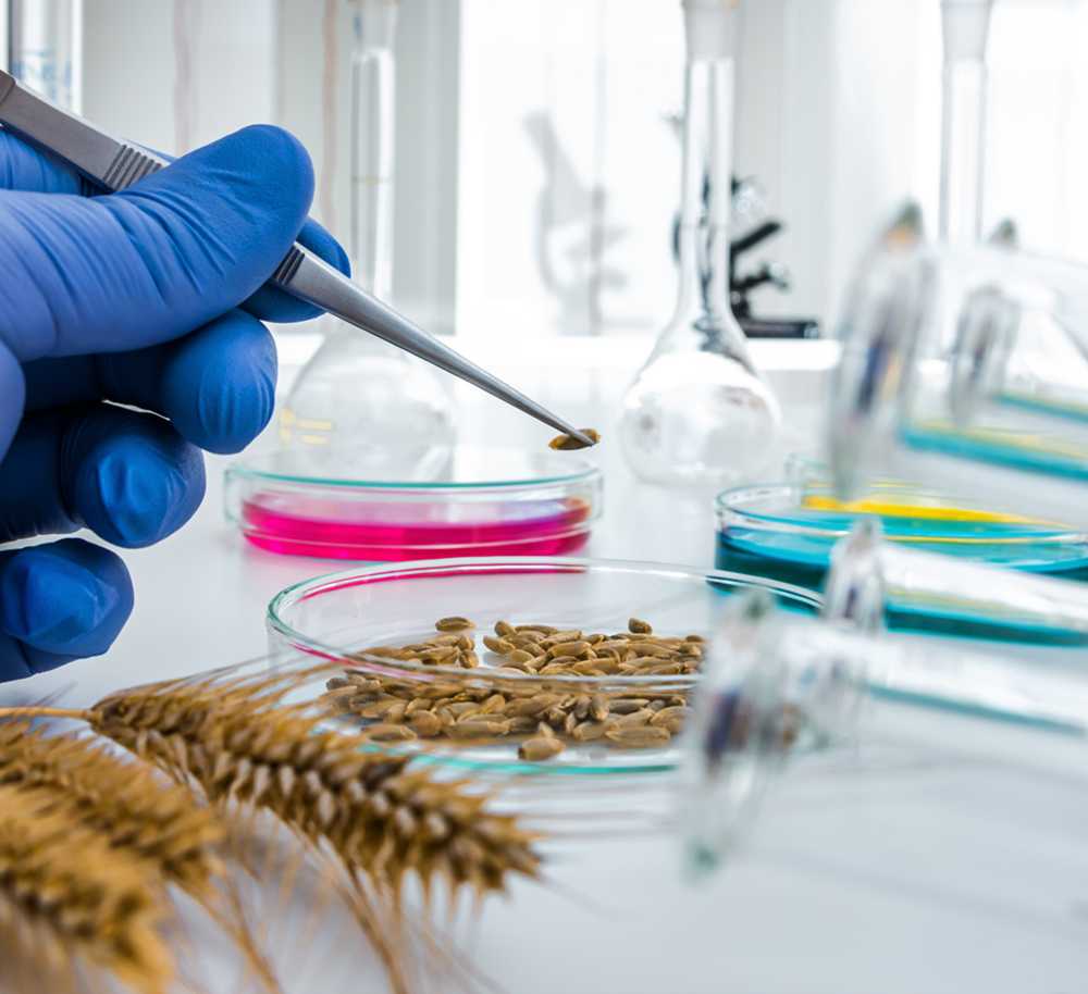 Parr monstervoorbehandeling