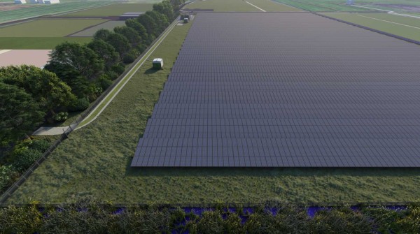 Veld met zonnepanelen| DID-online.nl